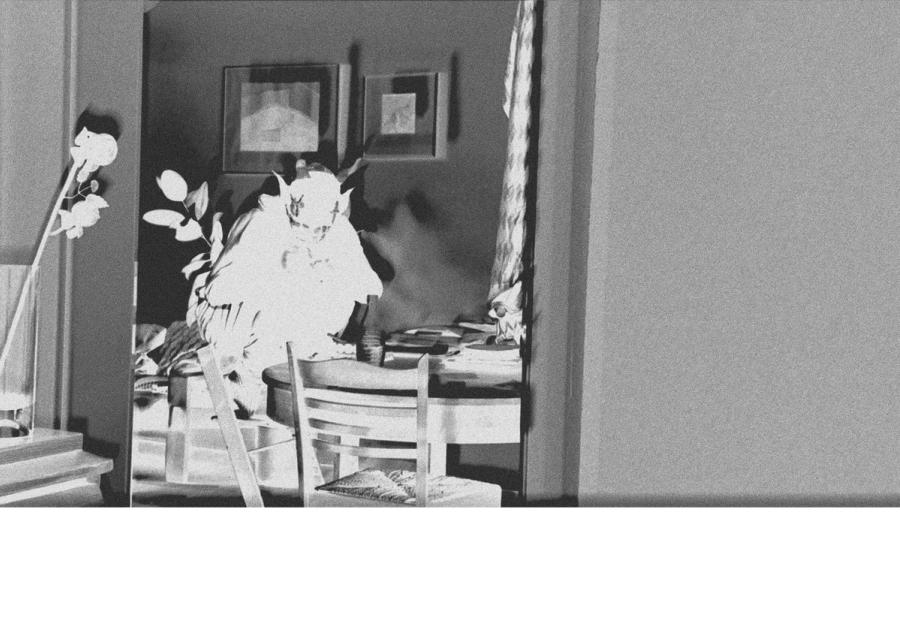 Masked Up – Haunting