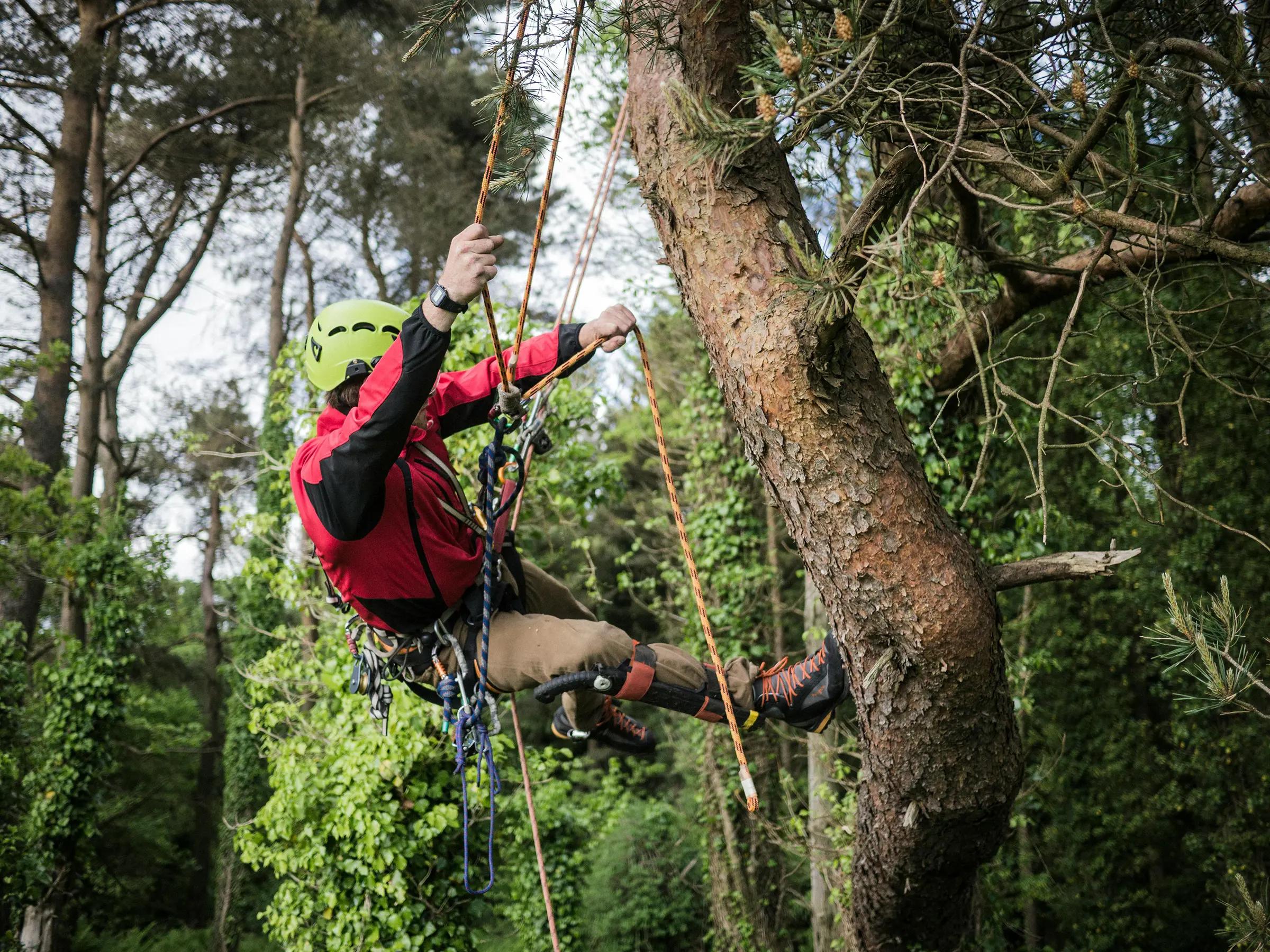 Парк приключений Forest Fun Park Zermatt