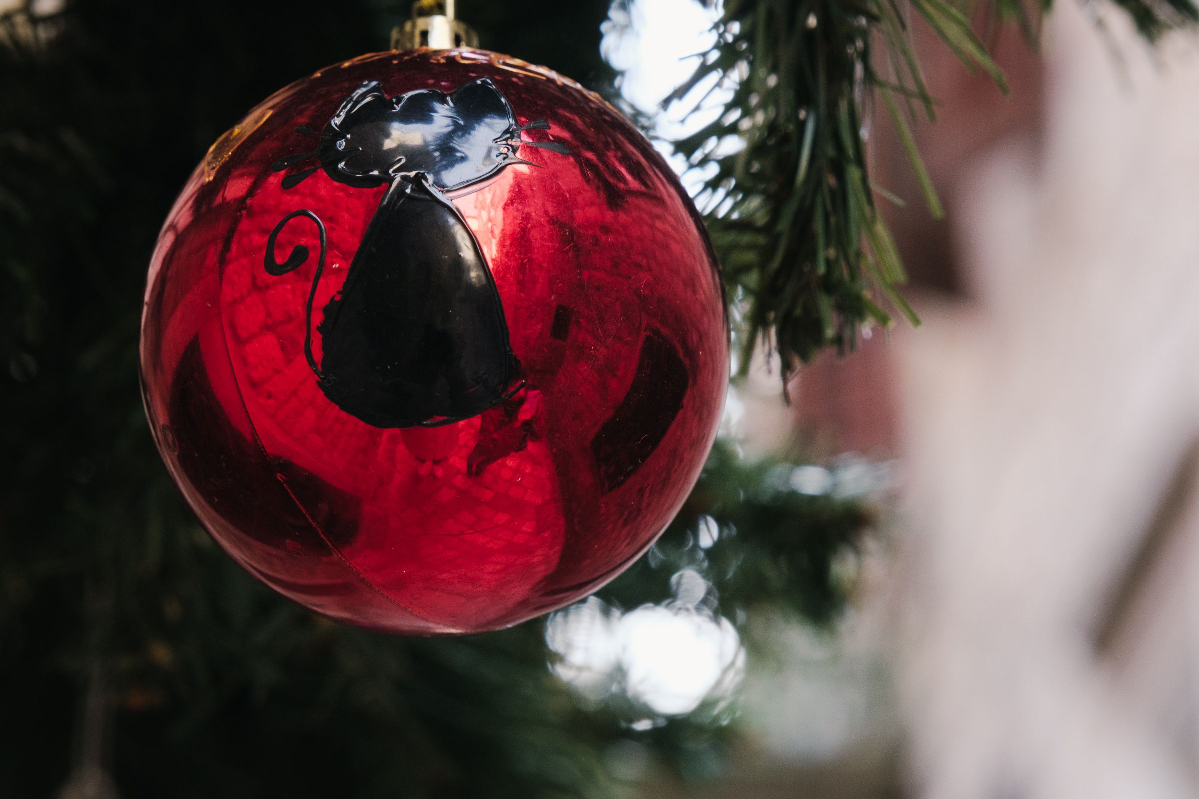 Изображение статьи