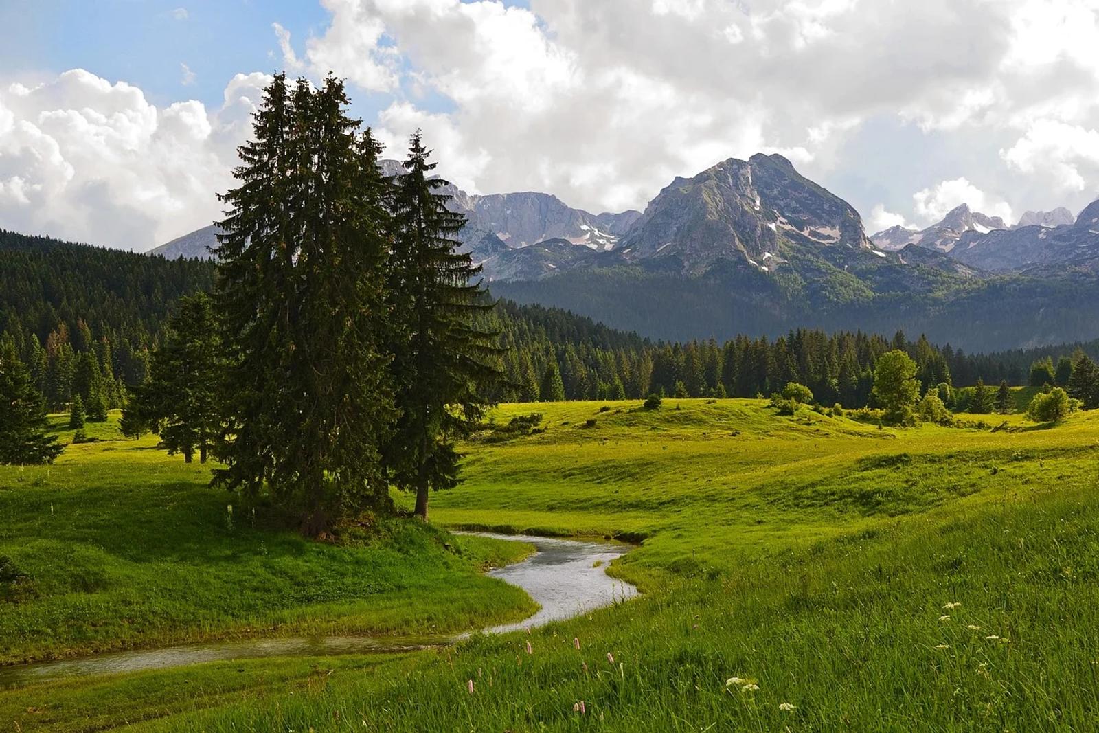 Durmitor Mountains and Black Lake: Tours into the Heart of Montenegro’s Nature