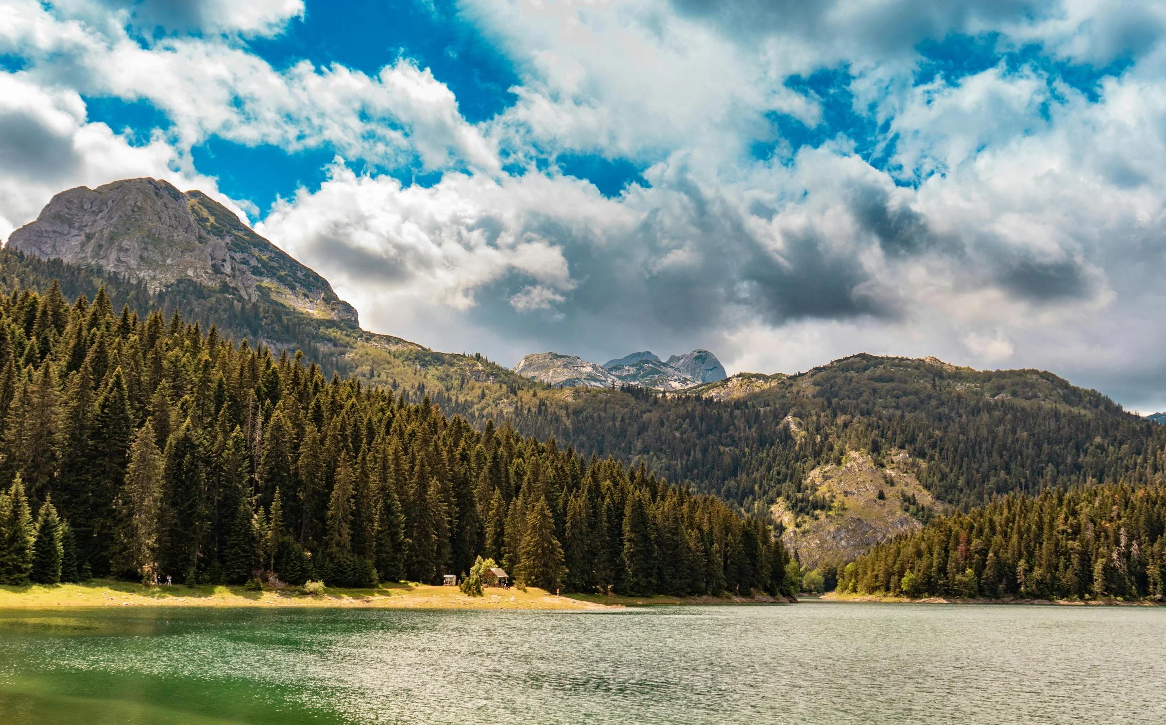 Автор фото на Pexels: F1lter 88