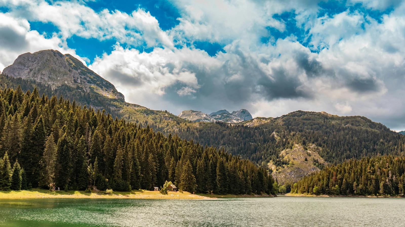 Автор фото на Pexels: F1lter 88