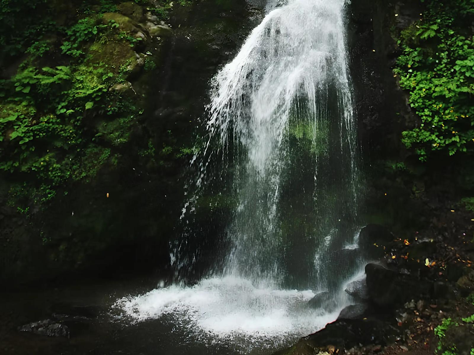 Mtirala National Park