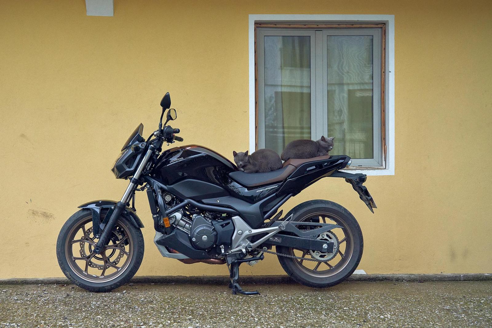 Scooter & Motorcycle Rental in Montenegro: Traffic Rules, Prices and the 5 Best Rides