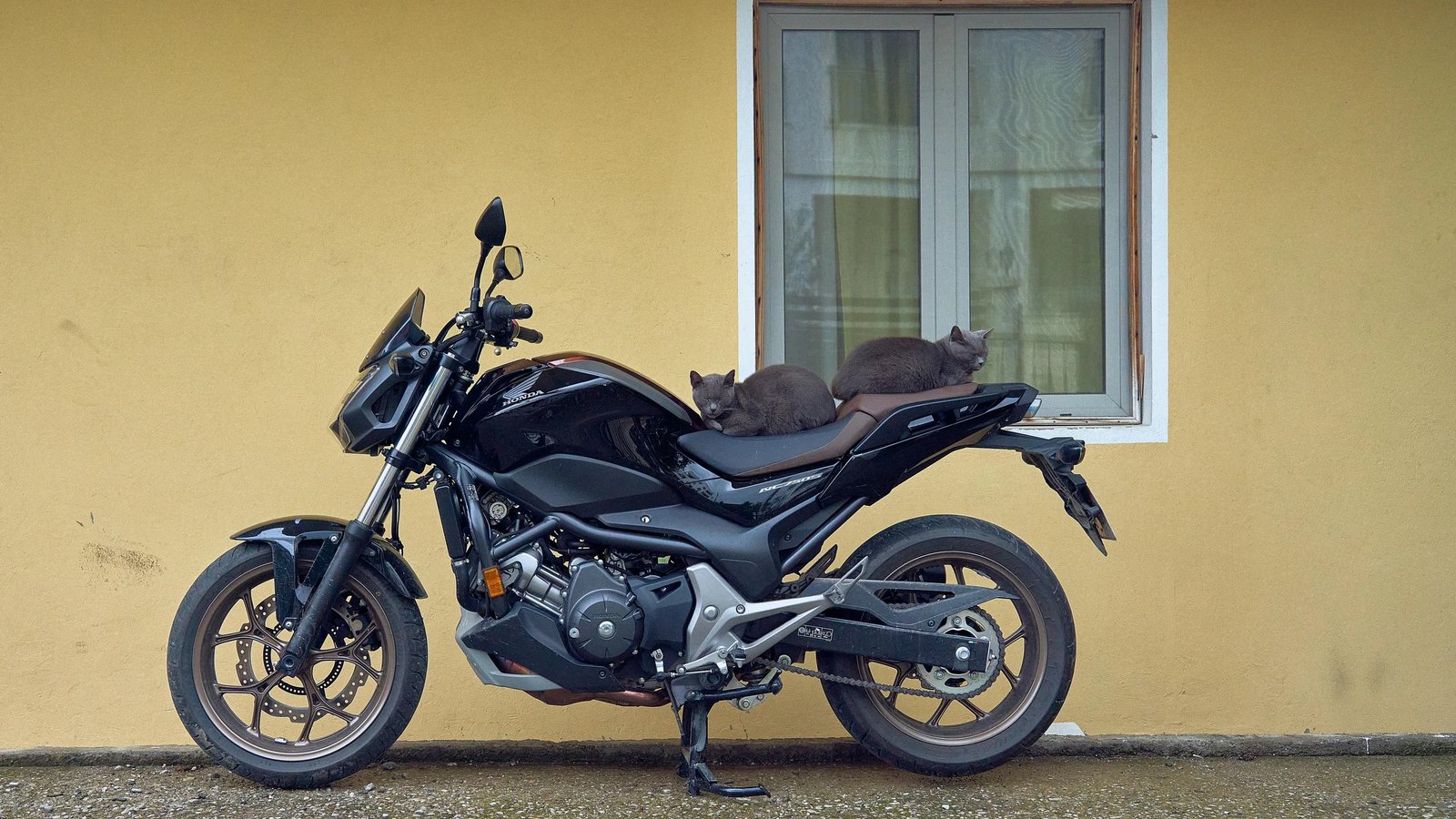 Scooter & Motorcycle Rental in Montenegro: Traffic Rules, Prices and the 5 Best Rides