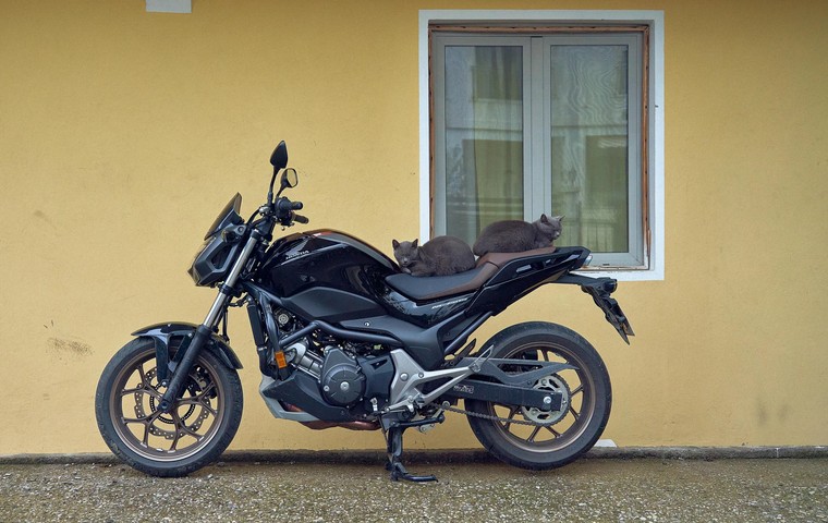 Scooter & Motorcycle Rental in Montenegro: Traffic Rules, Prices and the 5 Best Rides