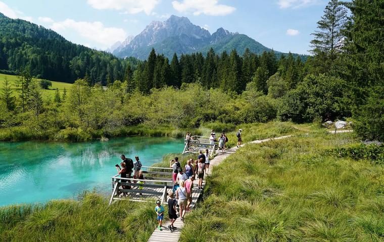 Zelenci Nature Reserve