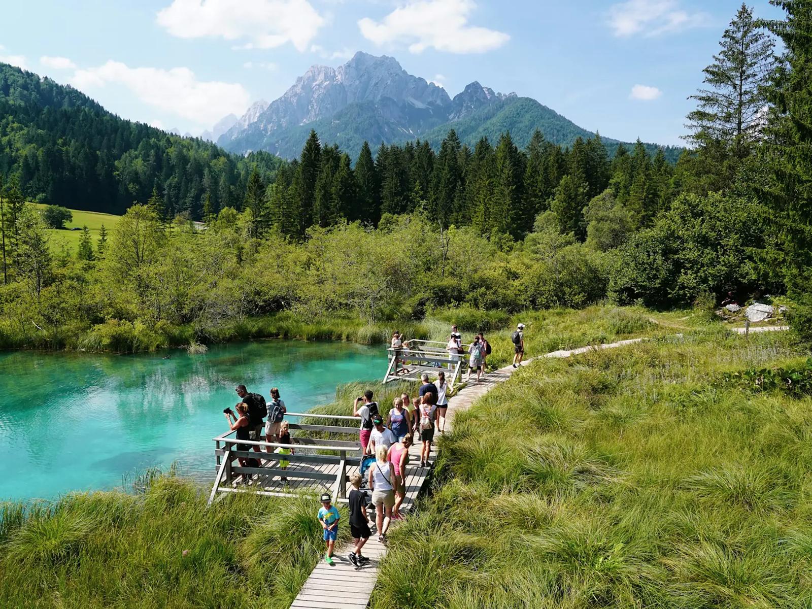 Заповедник Зелёнцы