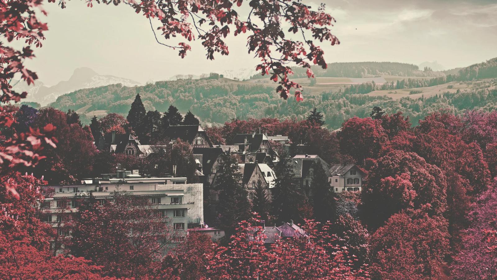 городские здания в окружении темно бордового лиственного леса в дневное время