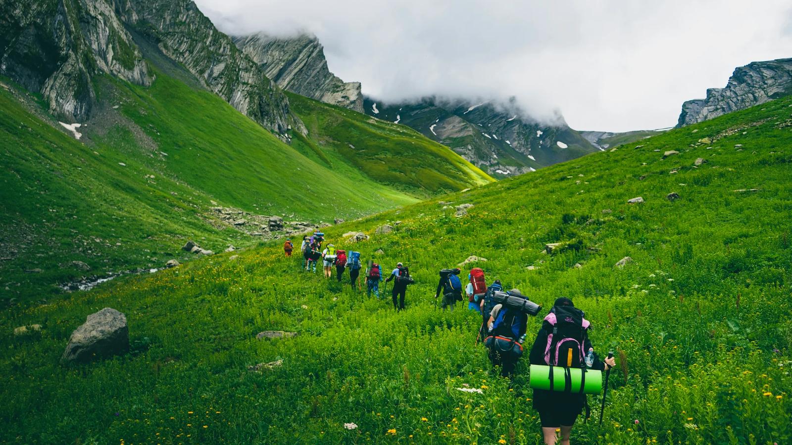 people hiking on green grass field during daytime