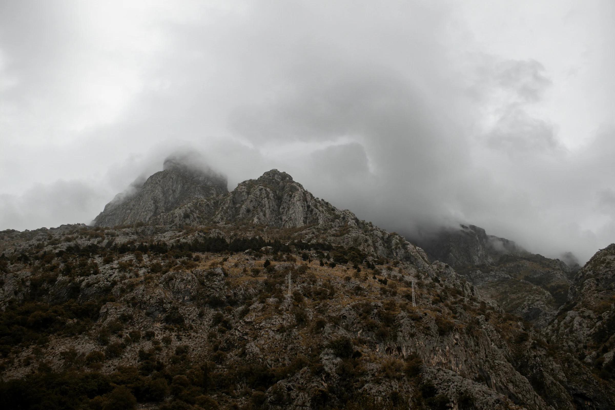 Автор фото на Pexels: Viktoriia Kondratiuk