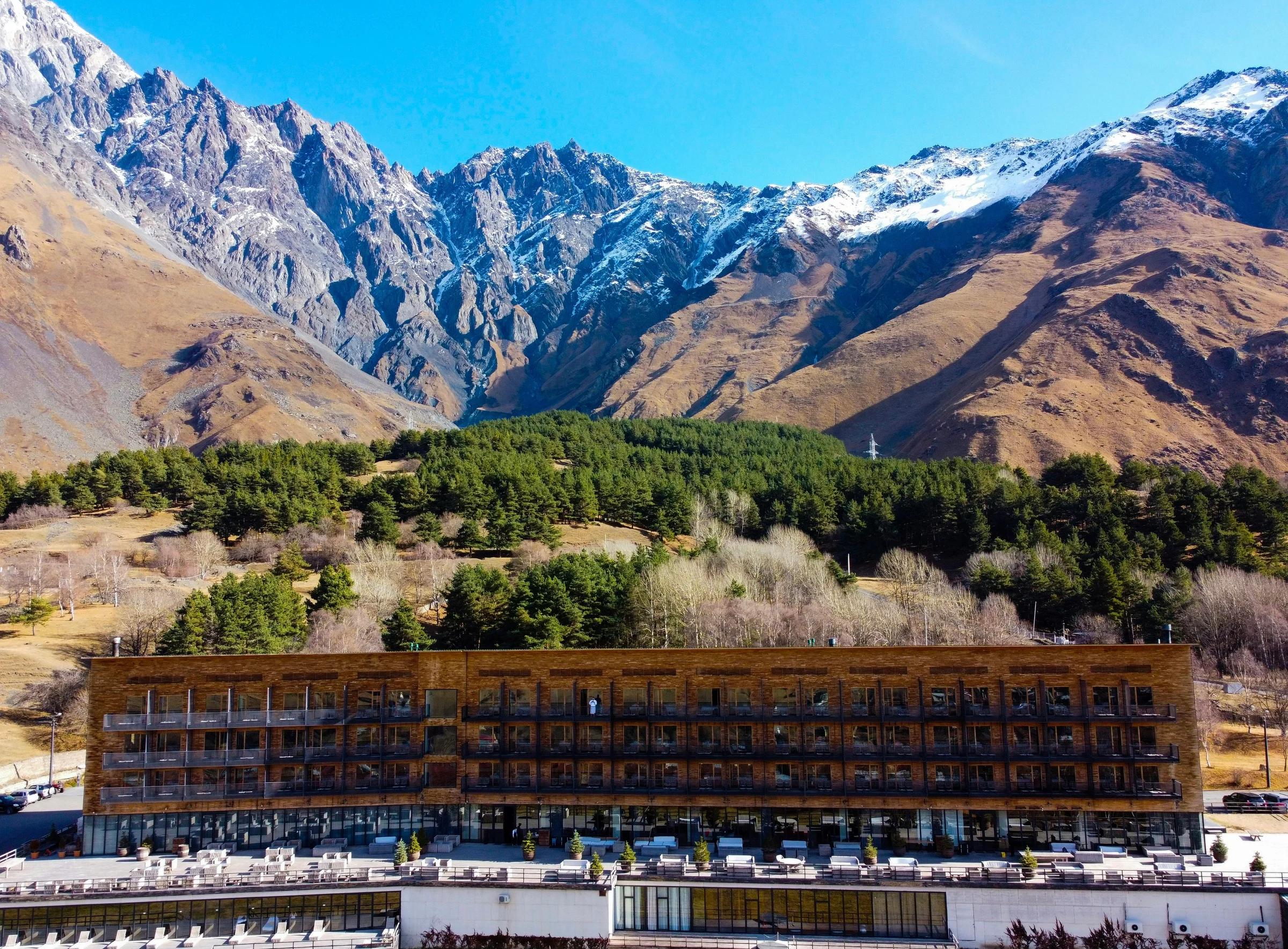 green trees and brown mountains during daytime