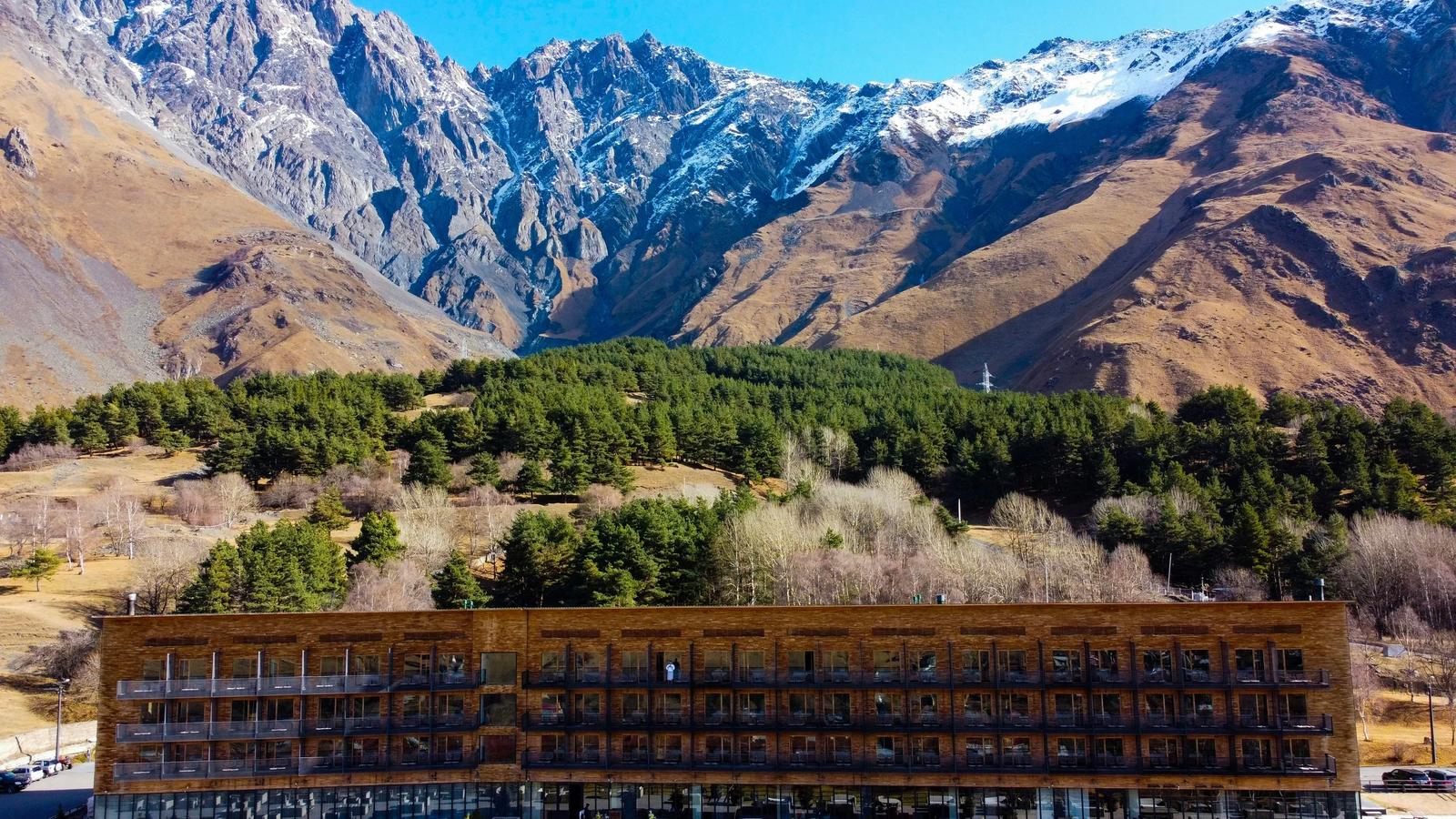 green trees and brown mountains during daytime