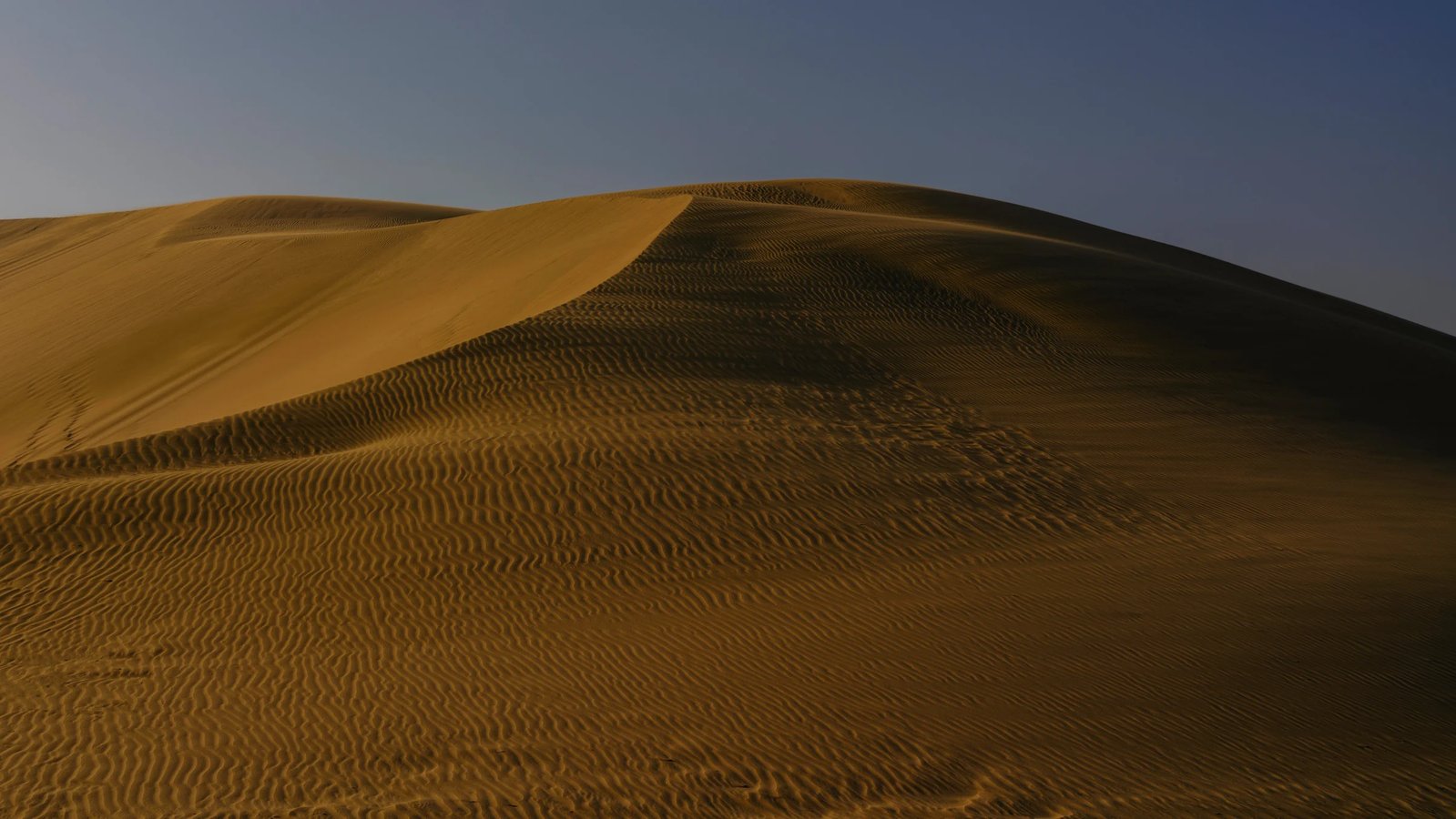 Катар в ноябре: погода, море, цены и советы