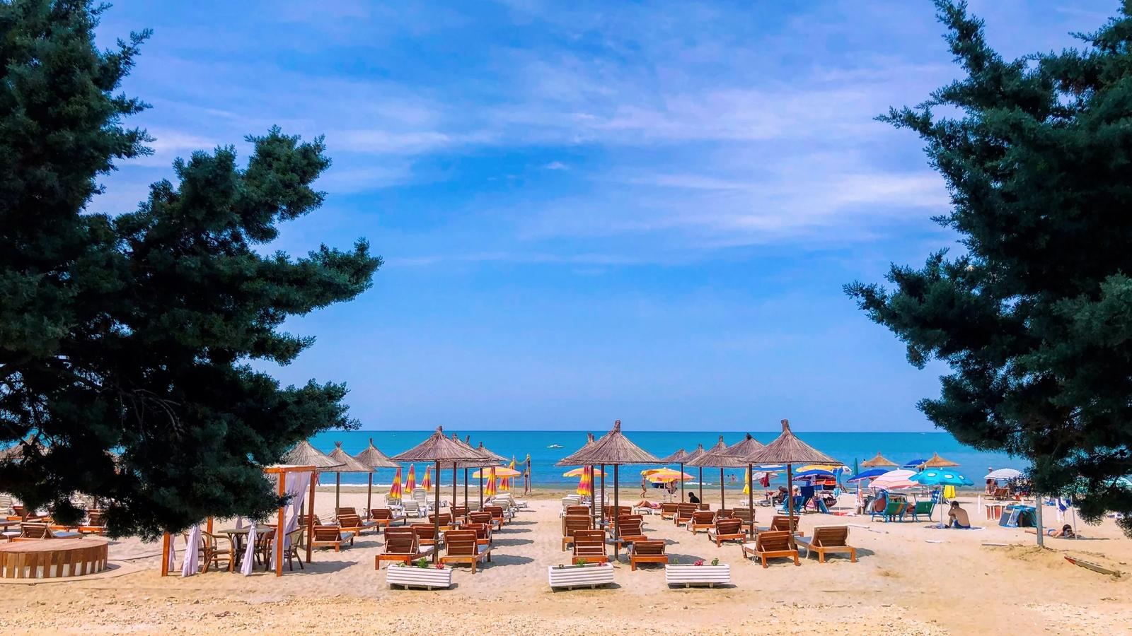 parasols and lounger near shore during daytime