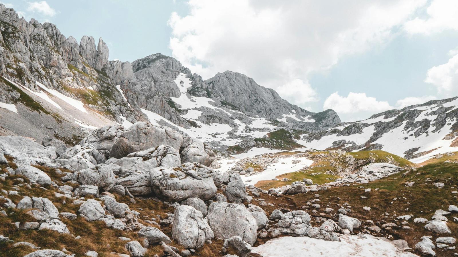 Автор фото на Pexels: Artūras Kokorevas