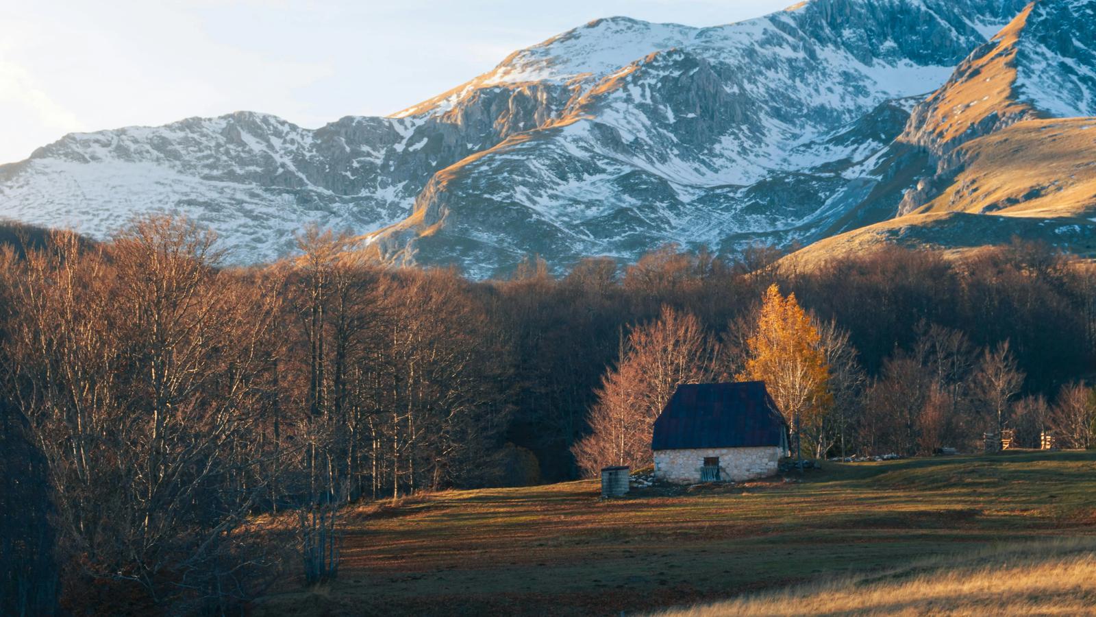 Изображение статьи