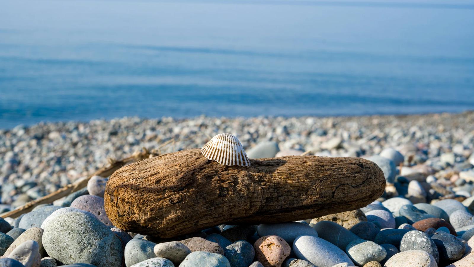 a piece of wood sitting on top of a pile of rocks
