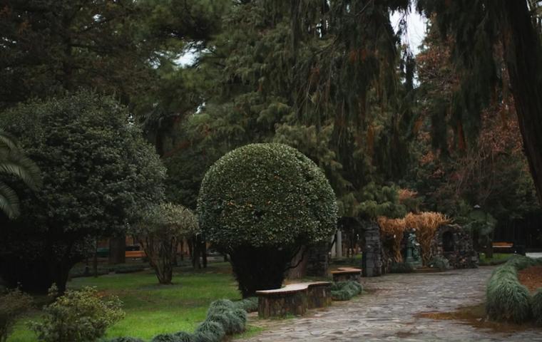 6 May Park