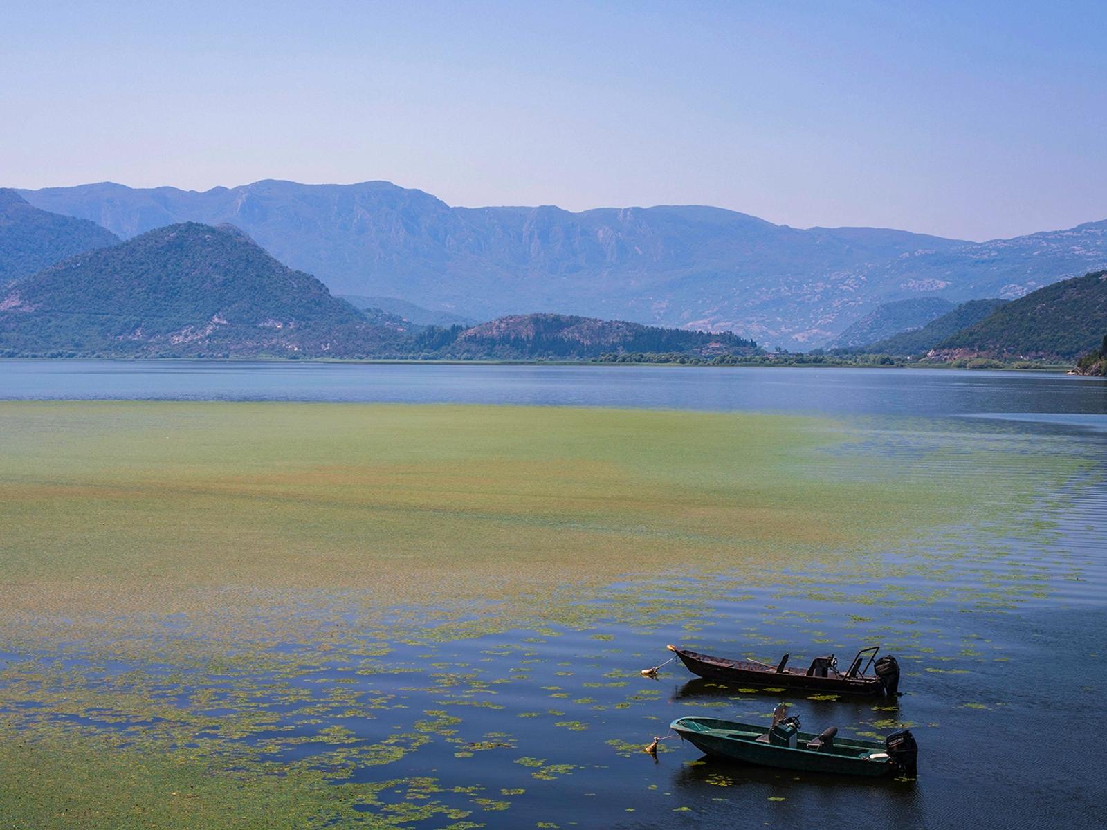 Lake Skadar