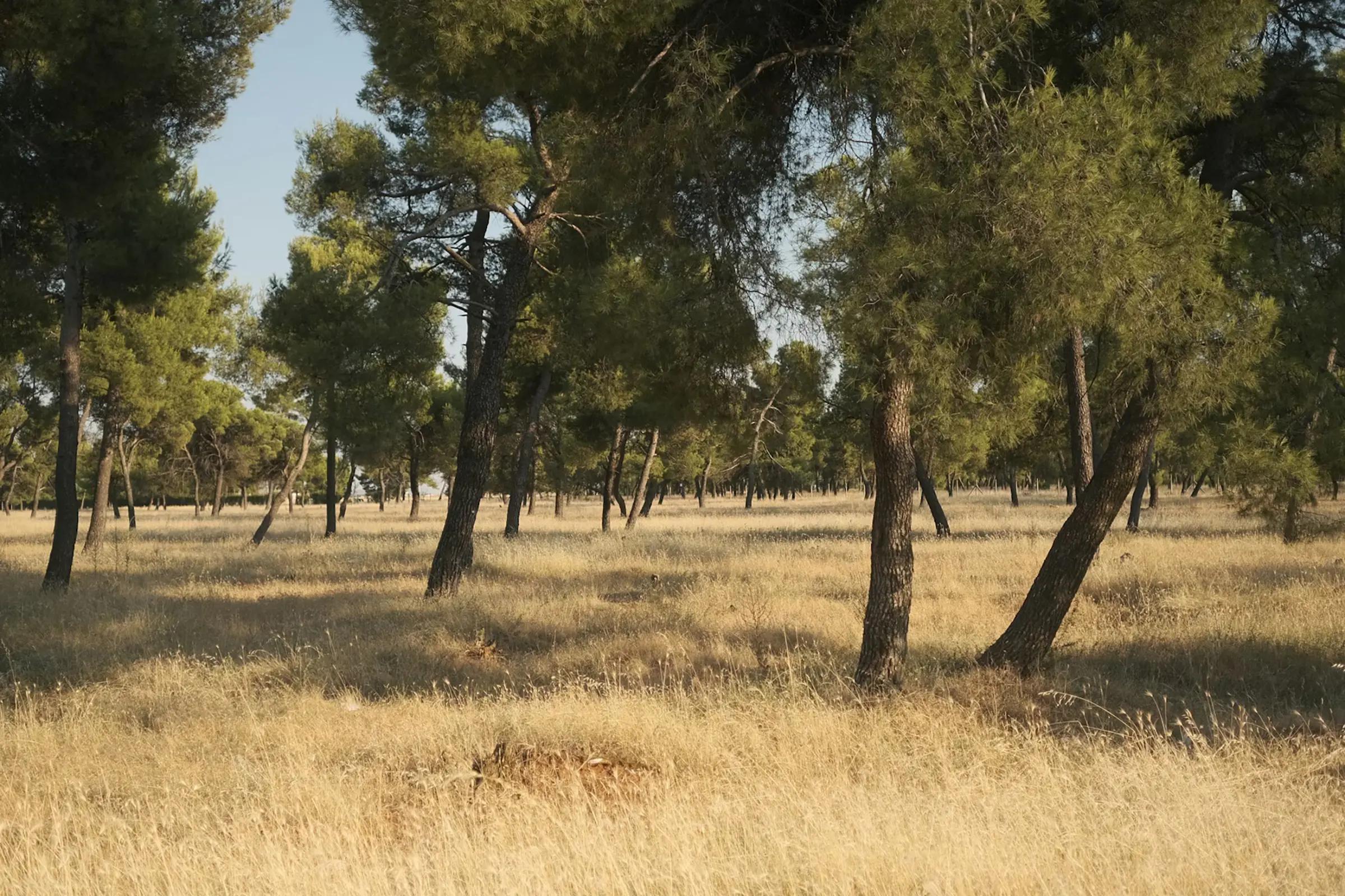 Gorica Forest Park