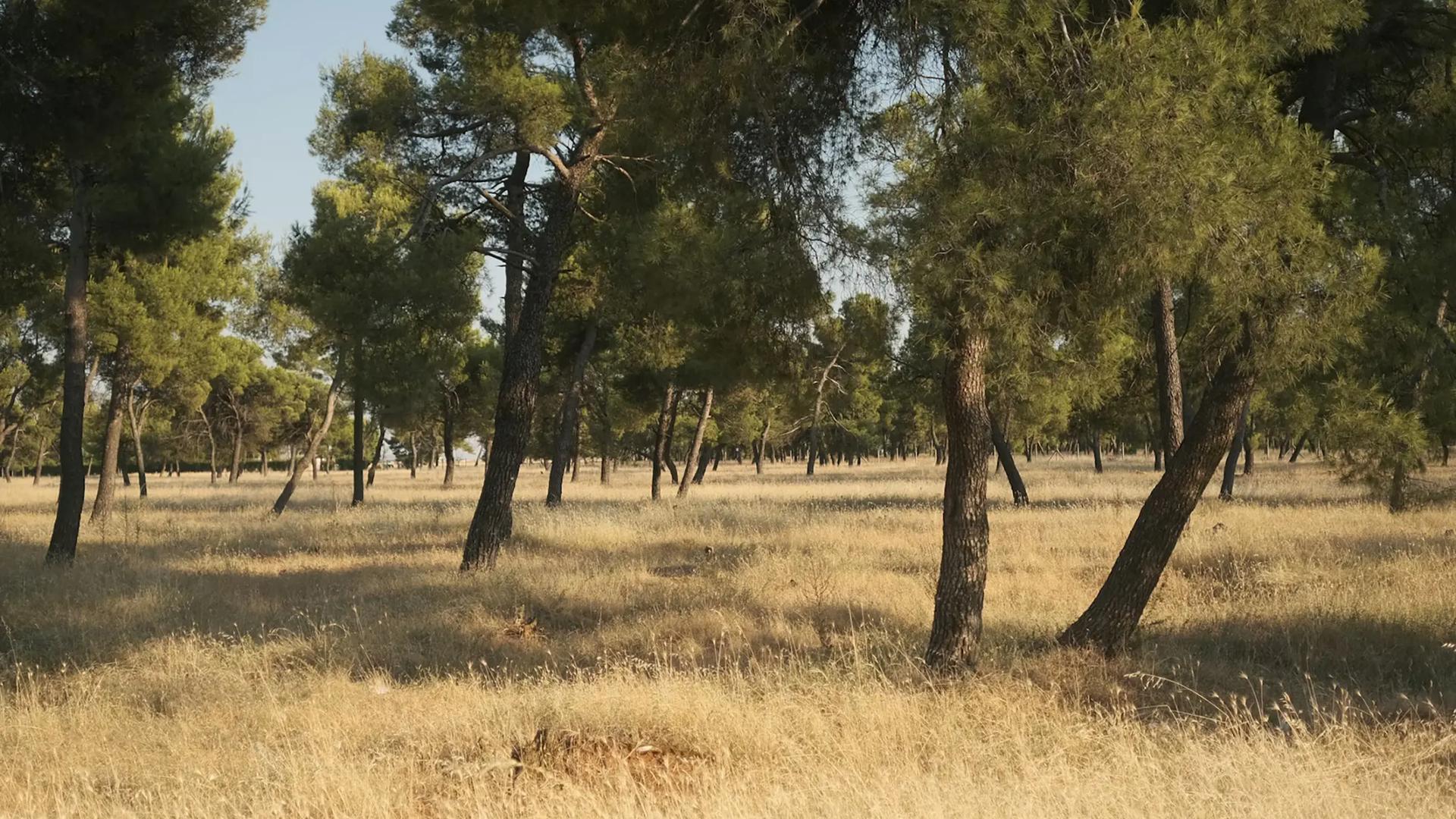 Gorica Forest Park