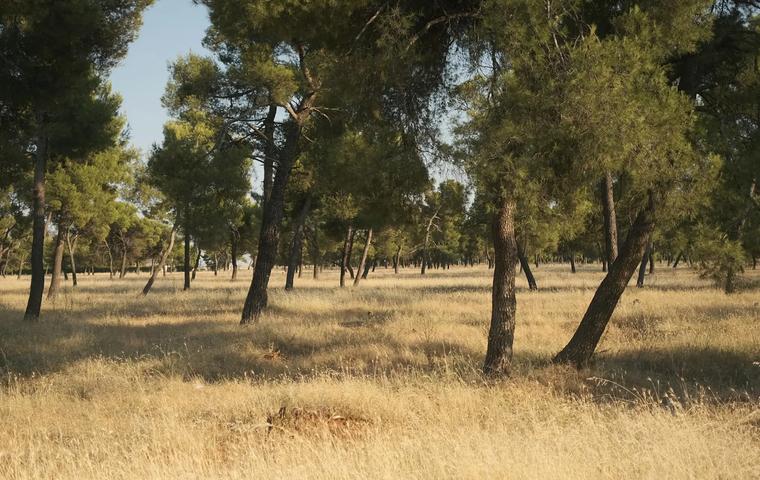 Gorica Forest Park