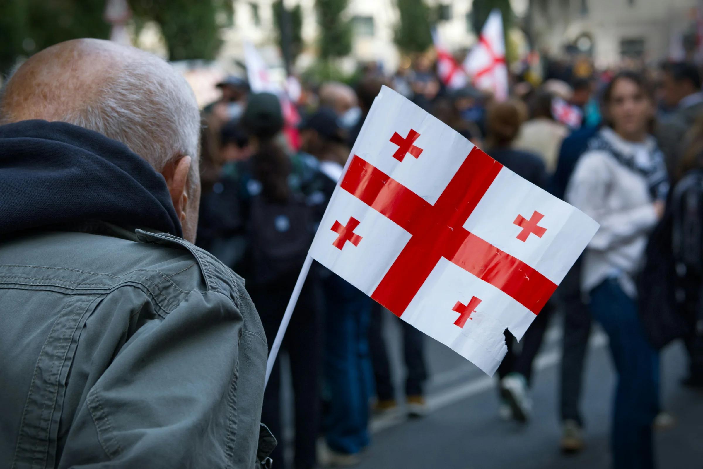 Man holds georgian flag at a protest