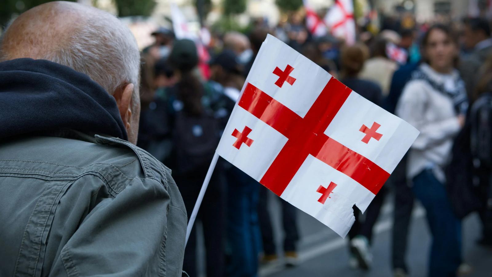 Man holds georgian flag at a protest