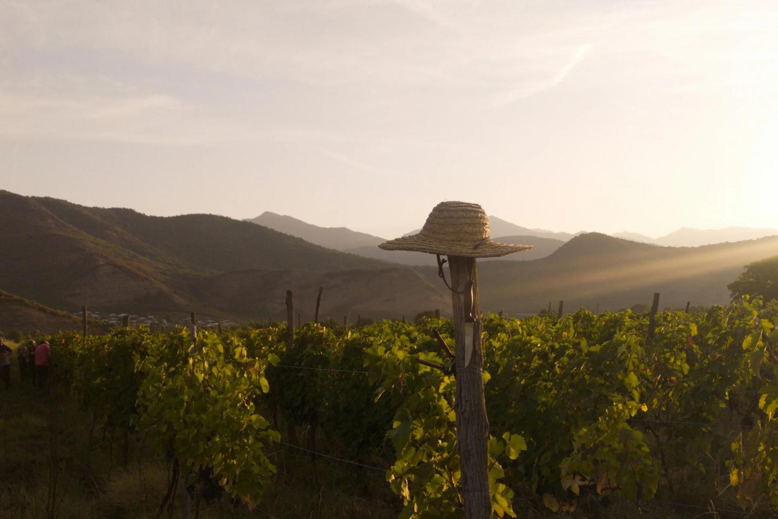 Wine Tours in Georgia – Where to Go, What to Taste & Real Costs in 2026