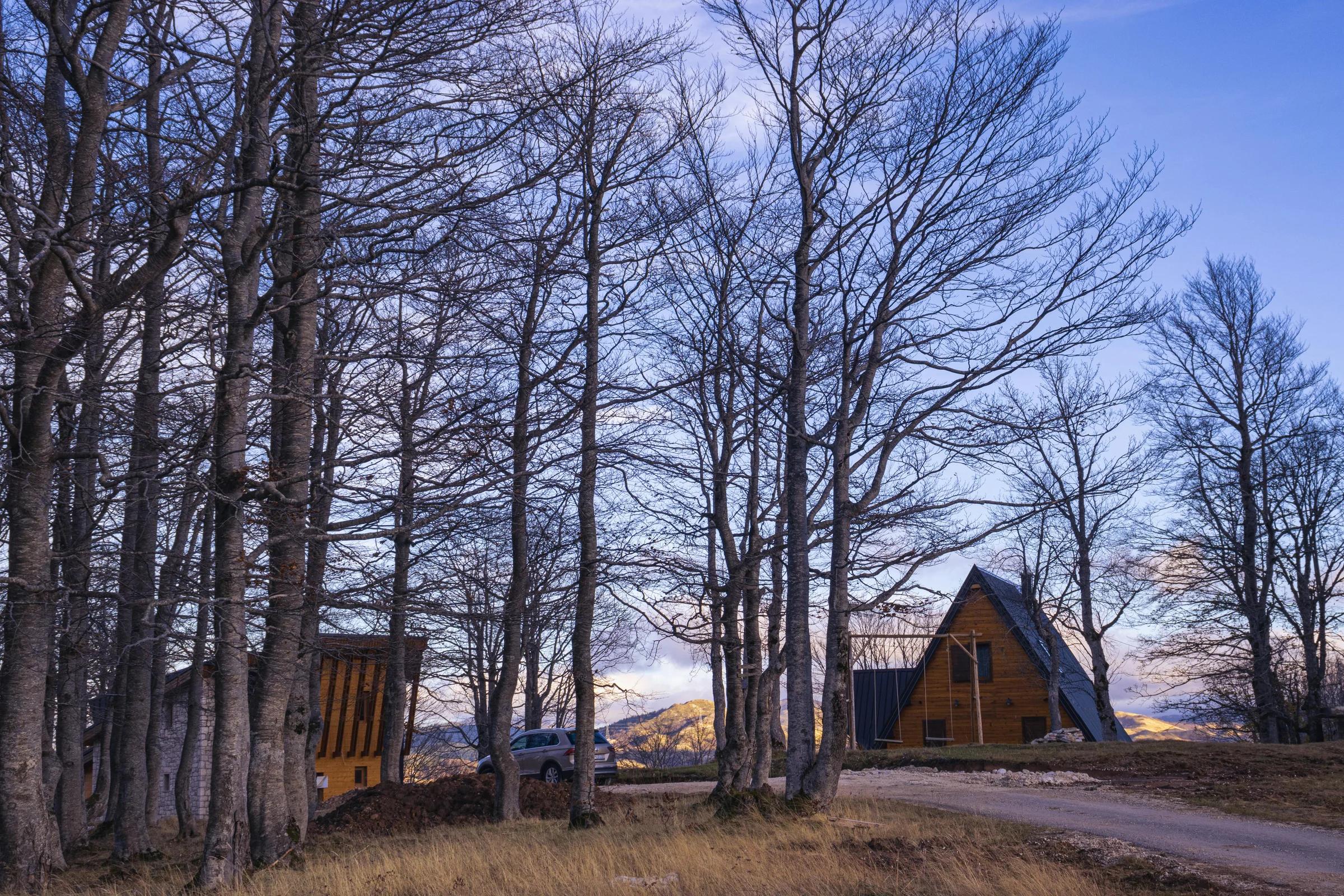 Автор фото на Pexels: F1lter 88