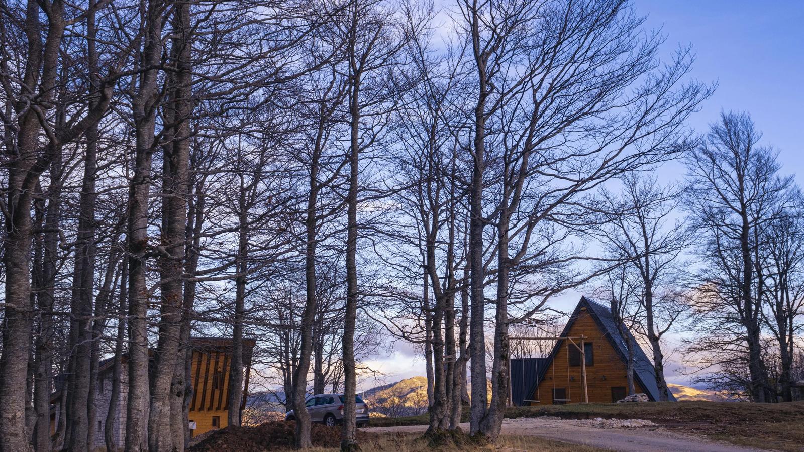 Автор фото на Pexels: F1lter 88