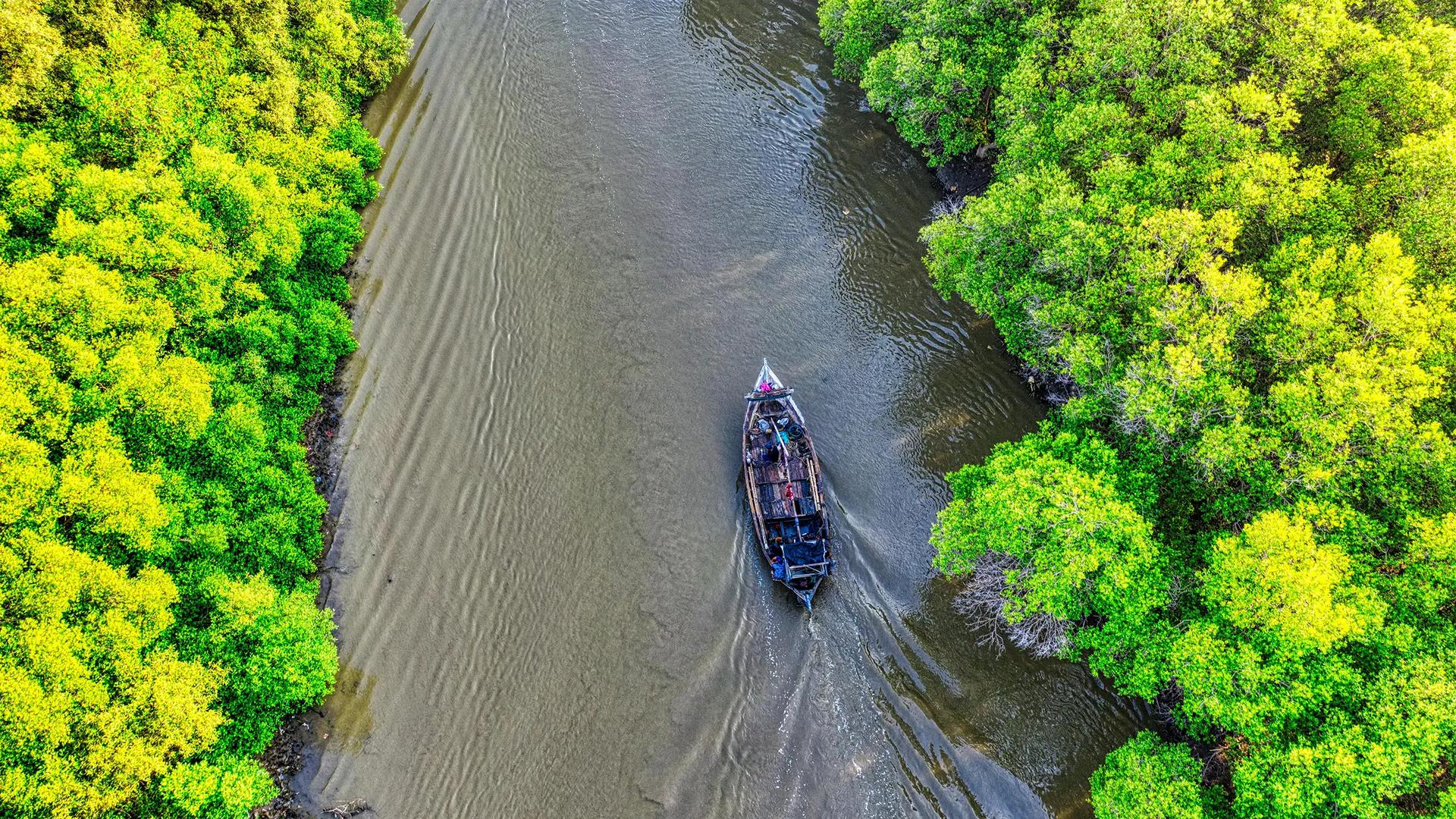 Al Thakira Mangroves