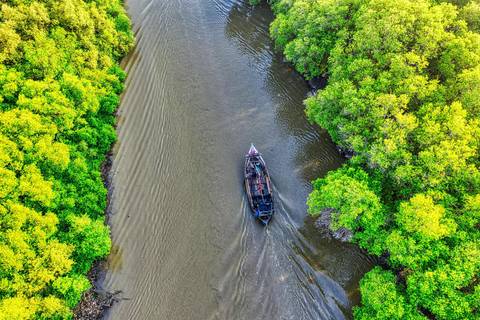 Al Thakira Mangroves