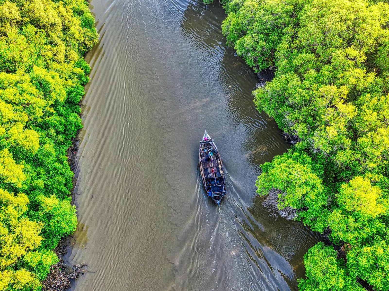 Мангровые заросли Аль-Такхира