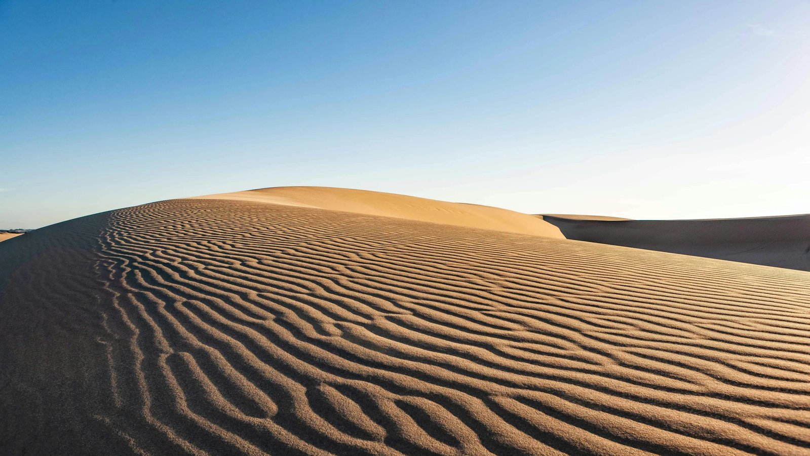 Qatar in June: weather, sea, prices and travel tips