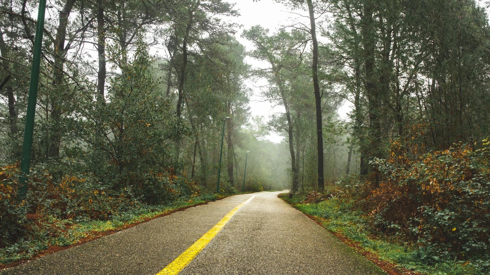 Автор фото на Pexels: Igor Meghega