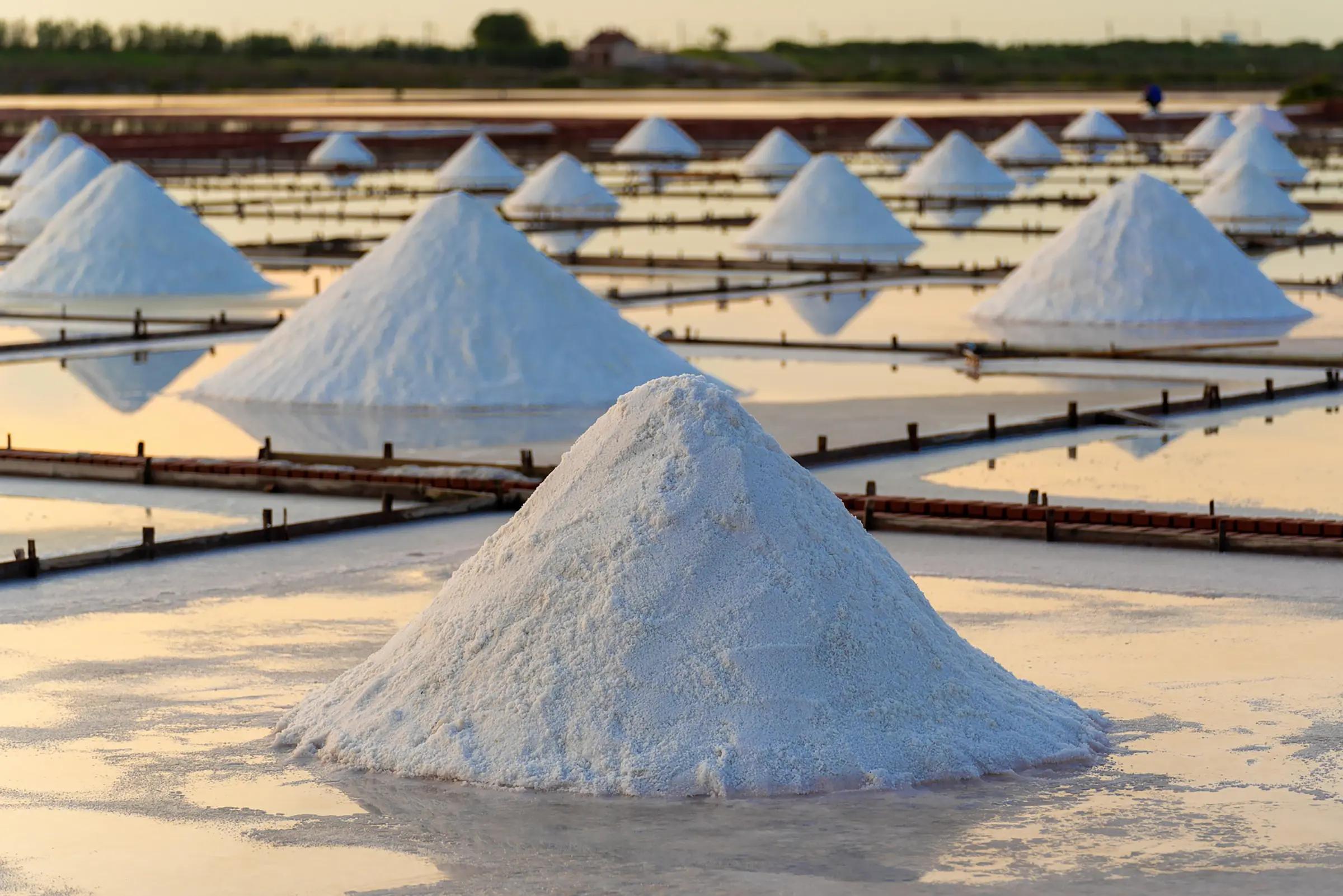 Sečovlje Salt Pans
