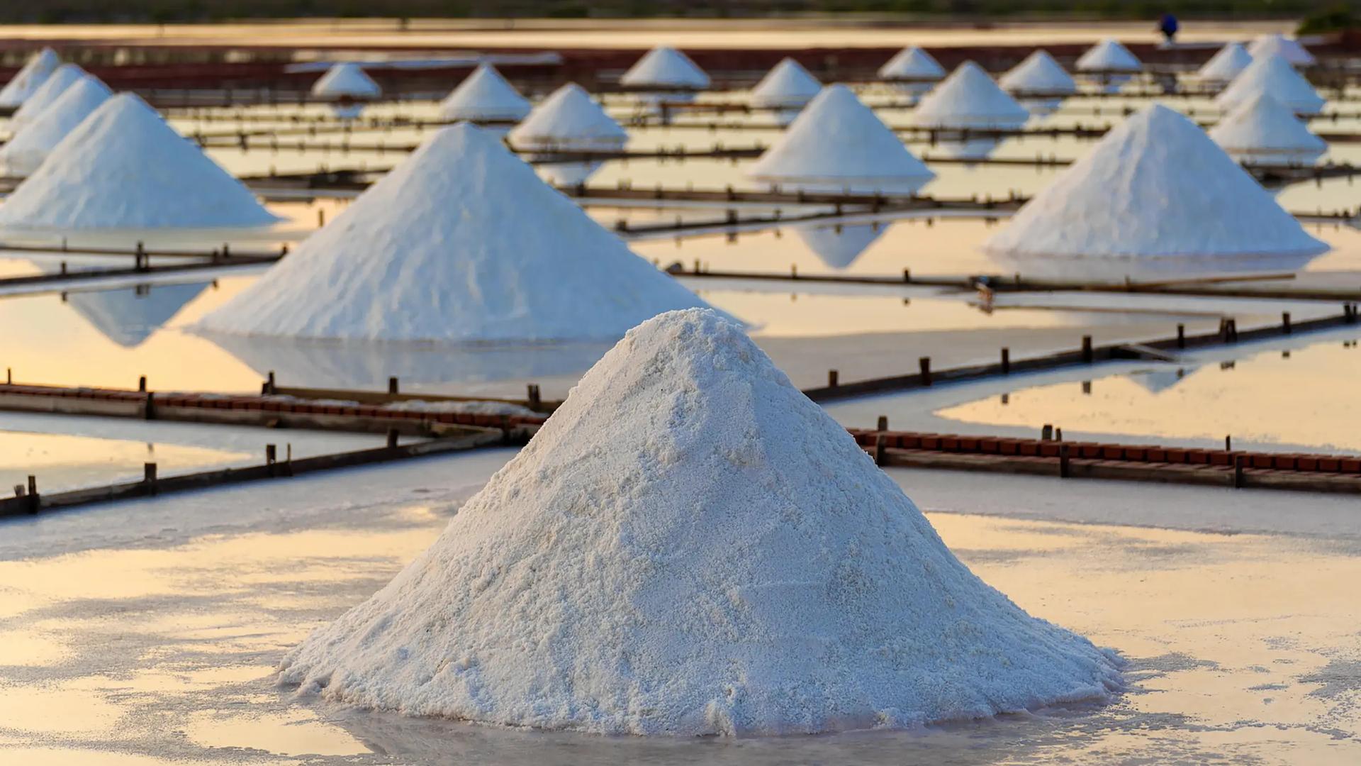Sečovlje Salt Pans
