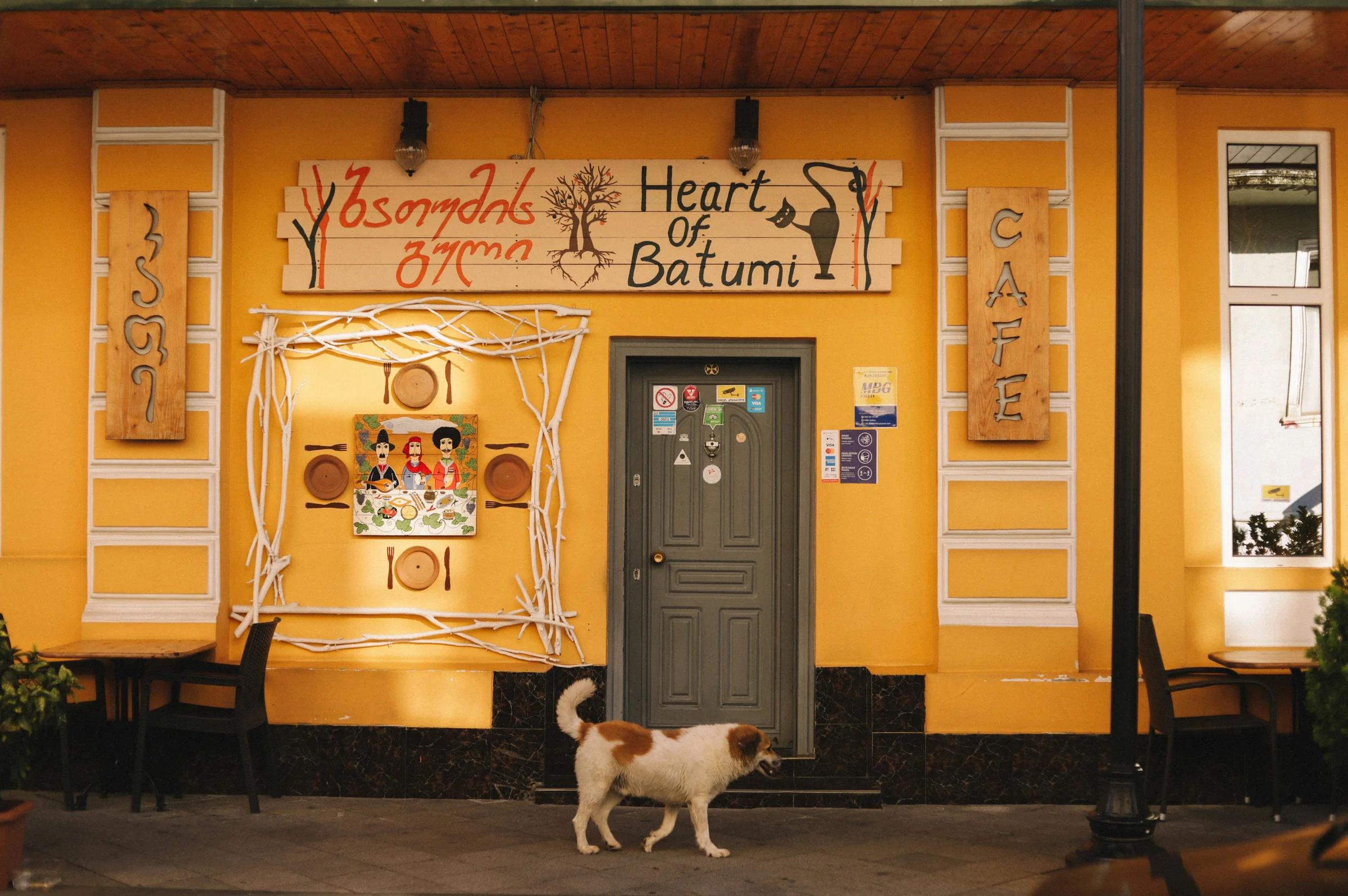 A dog is standing in front of a yellow building