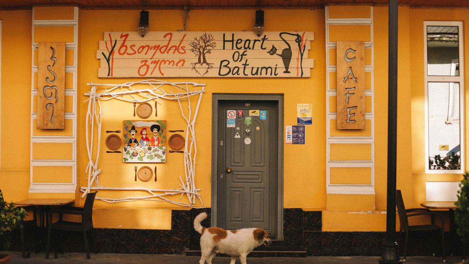 A dog is standing in front of a yellow building