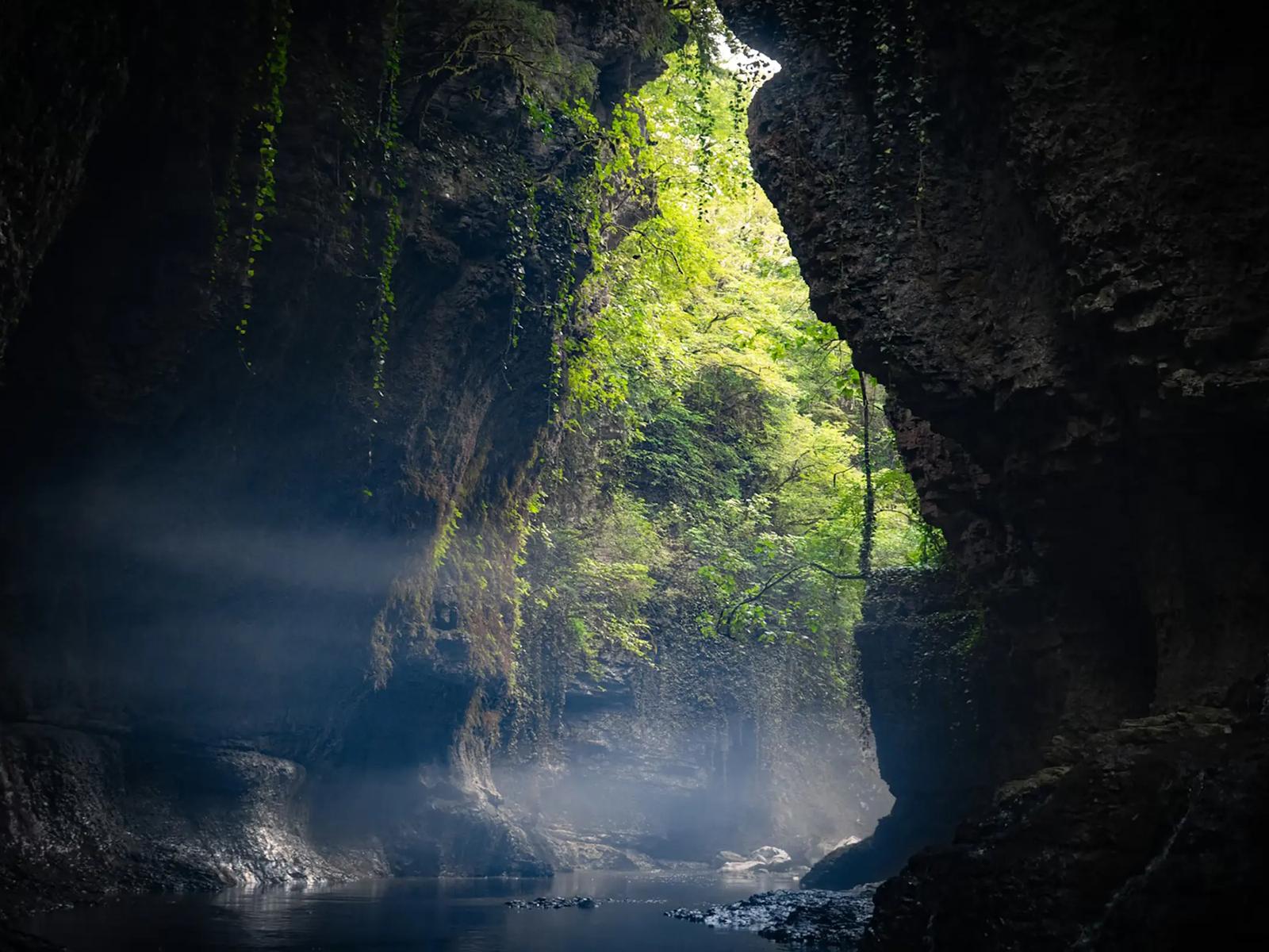 Каньон Мартвили
