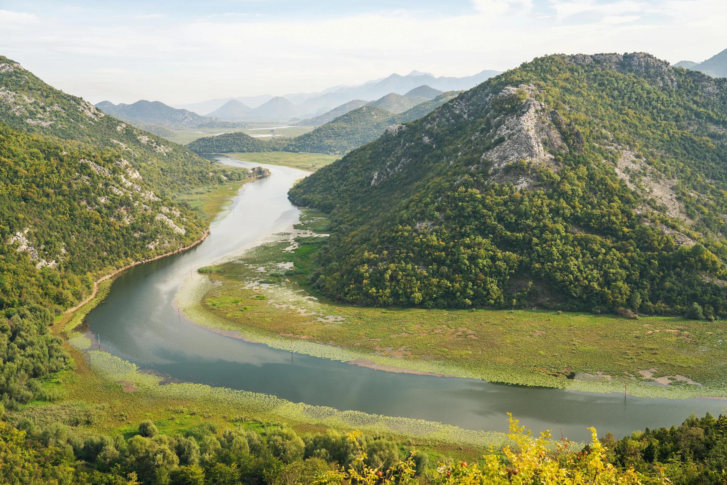 Автор фото на Pexels: Magic K