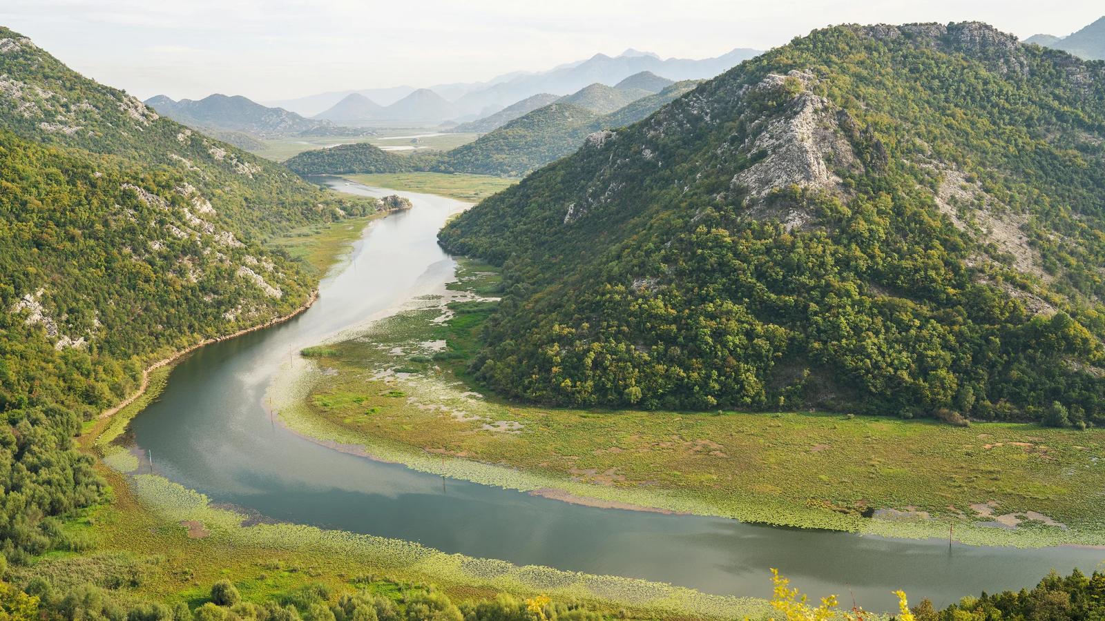 Автор фото на Pexels: Magic K