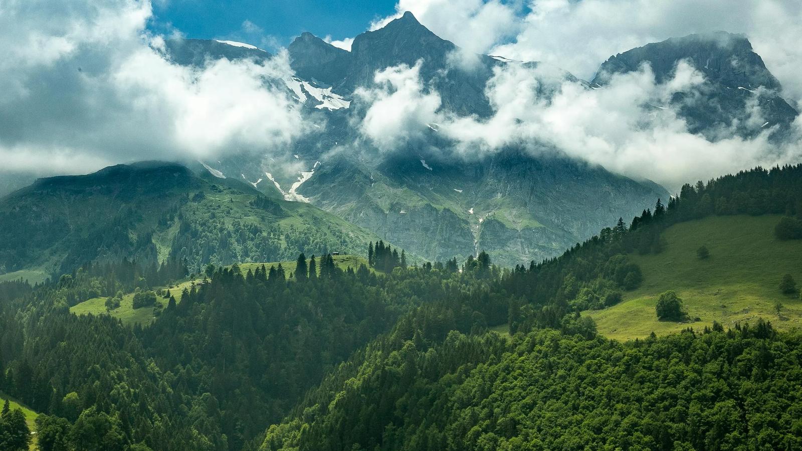 Пейзаж Фото деревьев и горных хребтов