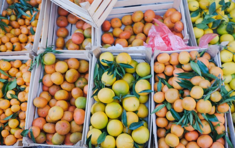 Montenegro Markets (Pijaca): How to Buy Real Cheese at €8/kg, Kajmak and Wine