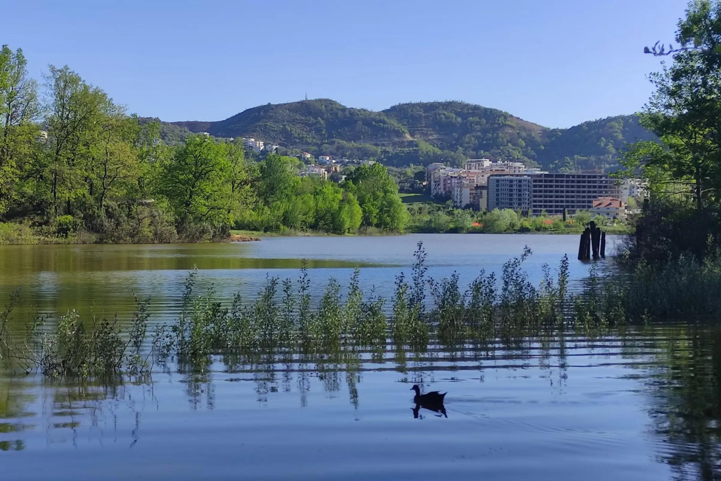 Grand Park of Tirana
