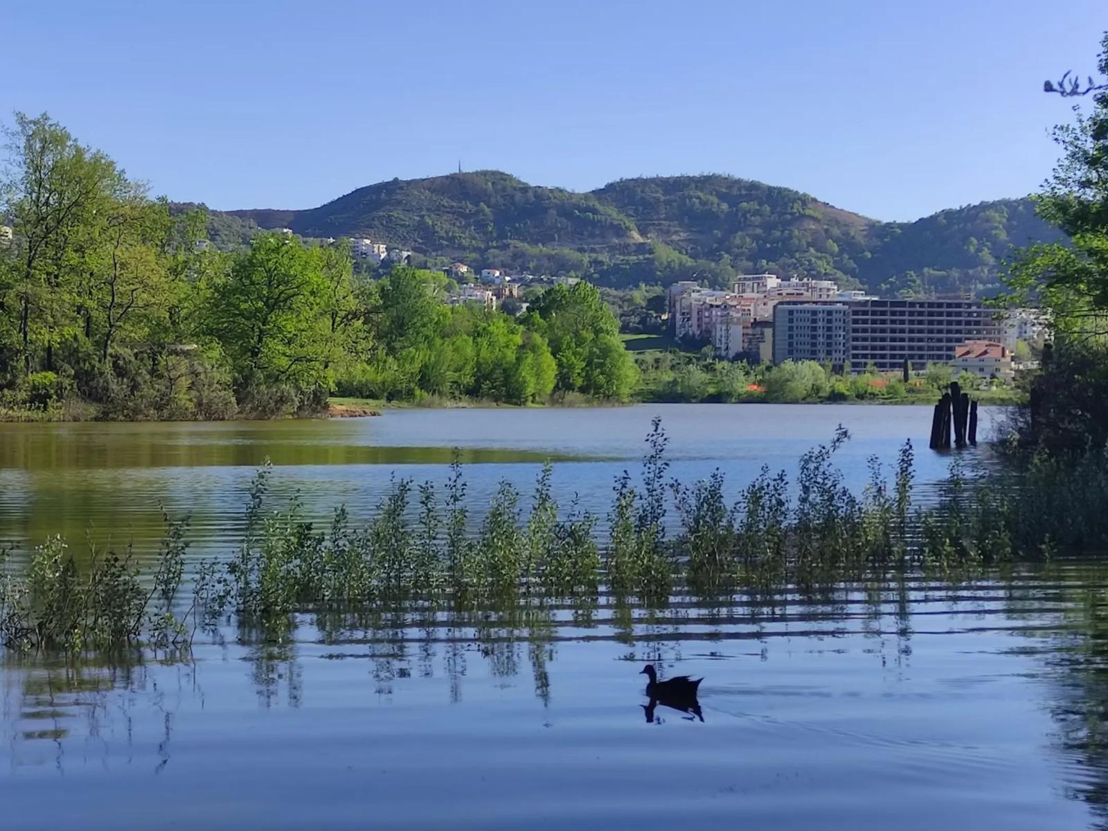 Grand Park of Tirana