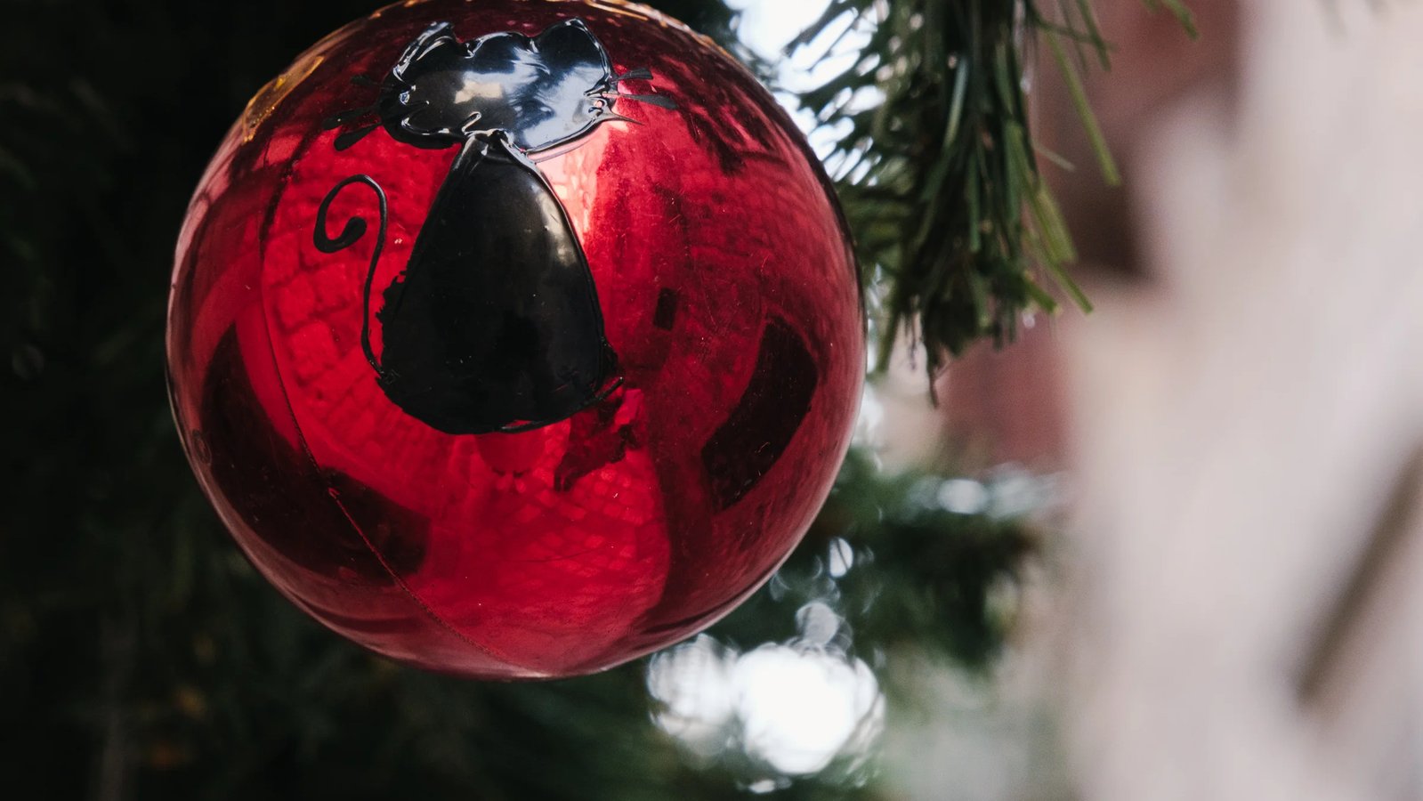 Черногория в декабре: погода, отдых и горнолыжные курорты