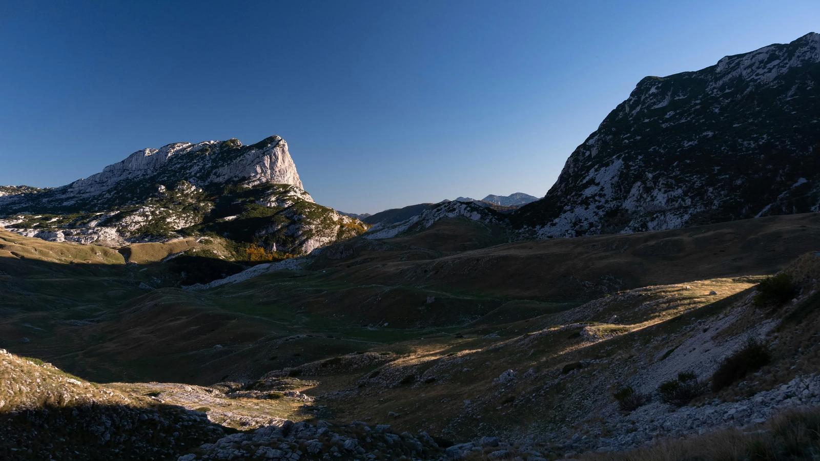 Автор фото на Pexels: Anastasia Prideina